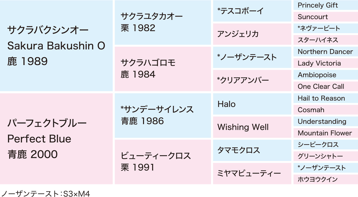 ダラニ 繁殖牝馬情報 チャンピオンズファーム